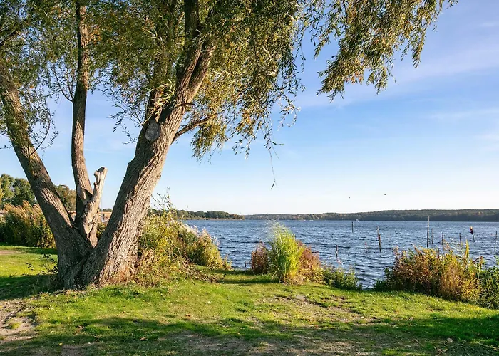 Сasa de vacaciones Tiny House Nr 6