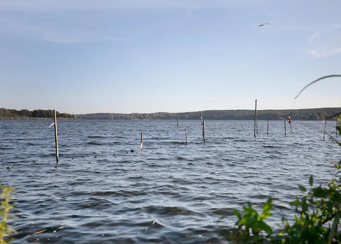 Tiny House Nr 6 Schwielowsee